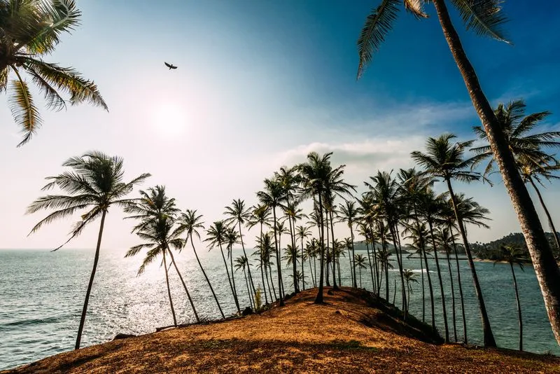 https://www.bigtravel.ru/ru/lk/articles/SriLankaObzor